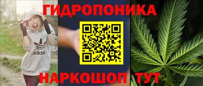 сатива Комсомольск-на-Амуре