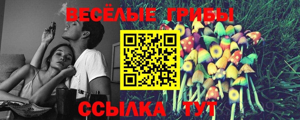 Феодосия  Псилоцибиновые грибы мухоморы  Вход с VPN  Галлюциногенные грибы мицелий 